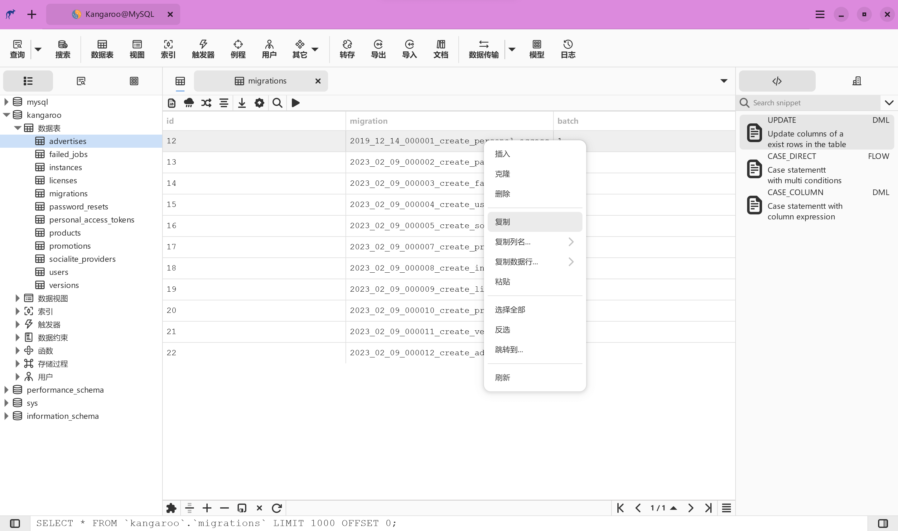 数据网格（条件查询）